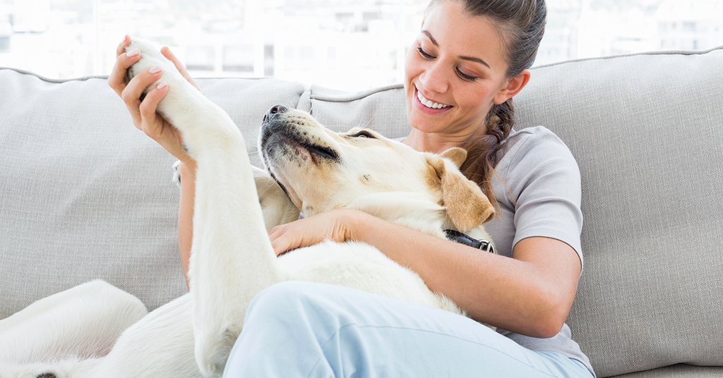 ¿Cómo funcionan los Aceites Esenciales para perros? Conoce más de la aromaterapia